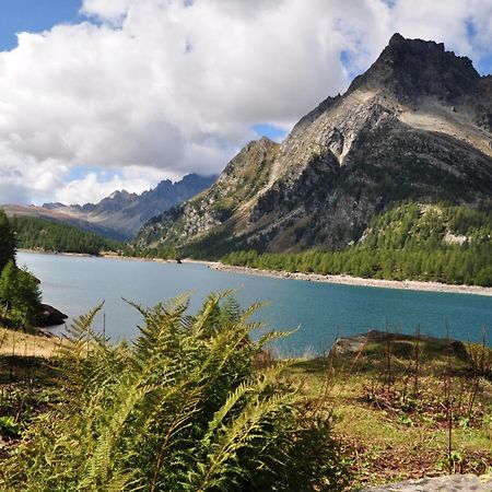 Casa Vacanza In Tipico Chalet Di Montagna Villa Varzo Bagian luar foto