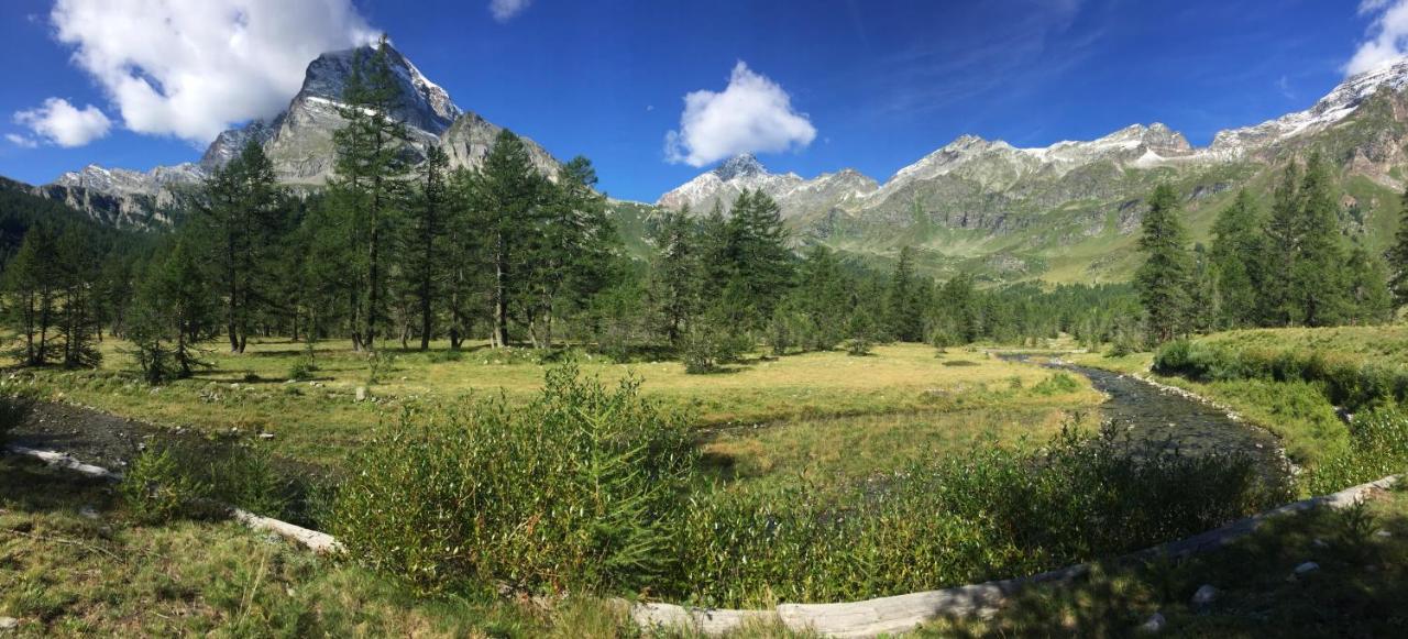 Casa Vacanza In Tipico Chalet Di Montagna Villa Varzo Bagian luar foto
