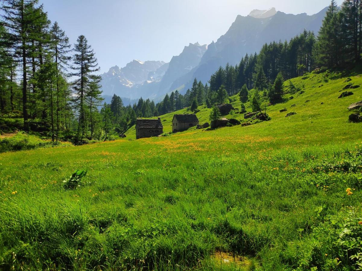 Casa Vacanza In Tipico Chalet Di Montagna Villa Varzo Bagian luar foto
