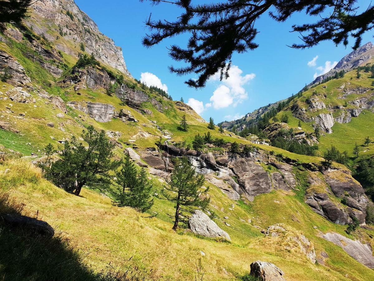 Casa Vacanza In Tipico Chalet Di Montagna Villa Varzo Bagian luar foto