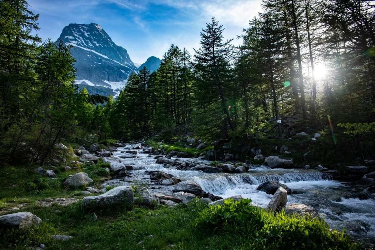 Casa Vacanza In Tipico Chalet Di Montagna Villa Varzo Bagian luar foto